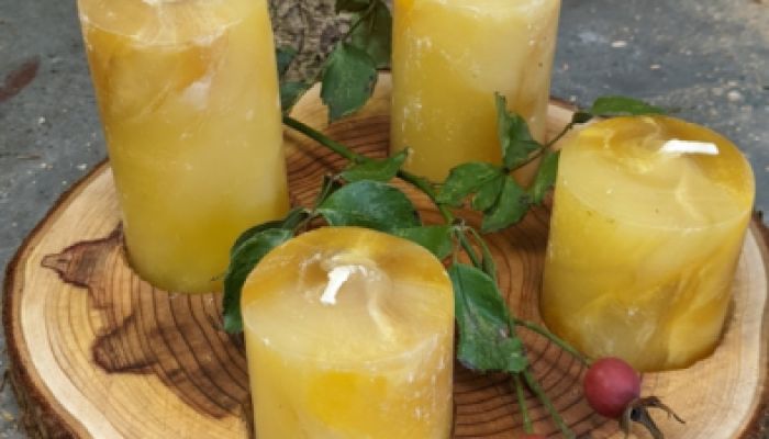 Wood & Work - Nachhaltige und Ressourcenorientierte Arbeit mit Jugendlichen!